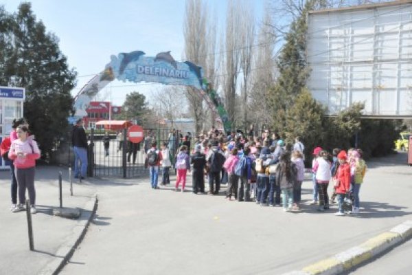 Mare Nostrum vă invită la Delfinariu, la o expoziţie de panouri interactive